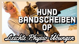 Einfache PhysioÜbungen nach BandscheibenvorfallOperation beim Hund [upl. by Ayvid]