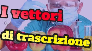 I vettori di trascrizione 🧬 [upl. by Cooper]