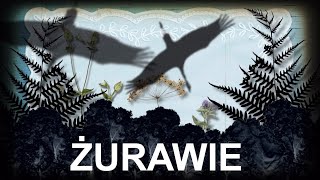 ŻURAWIE [upl. by Patty388]