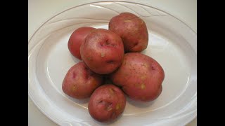 Red Potatoes 101  Nutrition and Health Benefits [upl. by Swane]