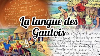 HistoireMystères de la Gaule et des Gaulois La langue gauloise [upl. by Charo928]