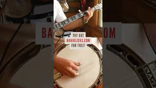 Single String To Melodic D Chord Lick  BLUEGRASS BANJO [upl. by Soirtemed]