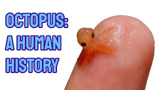 Octopus How These Weird Aliens Creatures Inspired Human Culture [upl. by Hough640]