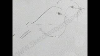 How to Draw a Chickadee In 7 Steps [upl. by Yorztif]