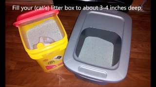 DIY Top Entry Cat Litter Box For Under 5 Dollars [upl. by Allesor]