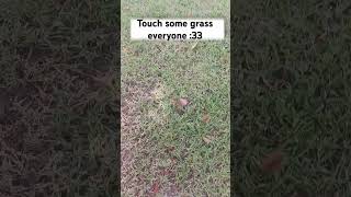 Everyone please touch the grass [upl. by Aillicirp]