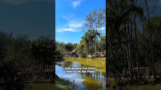 Pesqueiro do Tico localizado em Embu das Artes São Paulo 📍Estrada Municipal Caputera 1161 sp [upl. by Darej]