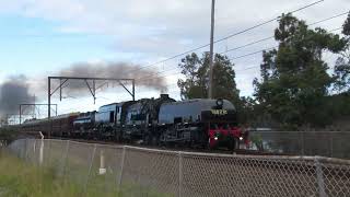 6029 Gosford Shuttles July 2024 [upl. by Vale849]