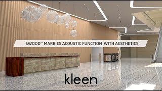 Kinetics kleen kWood  Absorptive Treatment [upl. by Eilegna]