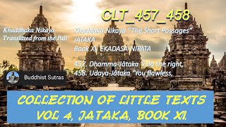 CLT457458You flawles JATAKA Khuddaka Nikaya “The Short PassagesHT WHD Rouse Oct 2023 [upl. by Zamora]