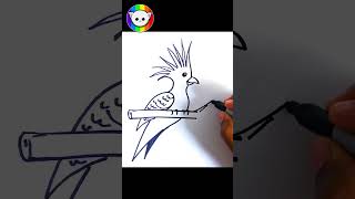 How to Draw a Turaco Bird from Number 3  आसान चित्र  shorts [upl. by Deerc]