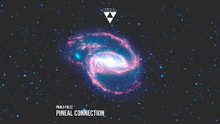 Paulo Foltz  Pineal Connection PRISM007 [upl. by Rasec570]