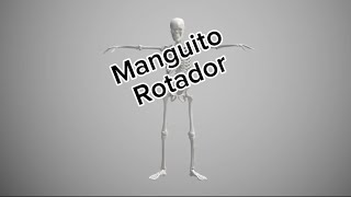 Manguito Rotador [upl. by Gore]