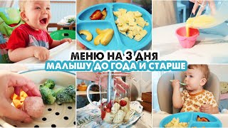 👶ДЕТСКОЕ МЕНЮ ДЛЯ РЕБЕНКА ДО ГОДА И СТАРШЕ🍏НА 3 ДНЯ🥦НАШЕ МЕНЮ В 10 МЕСЯЦЕВ [upl. by Ulyram]