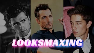 Ultimate Guide To Looksmaxxing NO BULLSHT [upl. by Hesky]