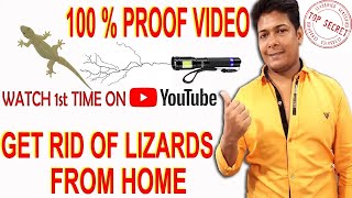 How To Get Rid of Lizards Permanently and Quickly at Home 2023  Chipkali Bhagane Ka Tarika  Upay [upl. by Herschel]