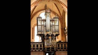 Buxtehude  Preludium und Fugue in g Buxwv 150 [upl. by Gabriel]