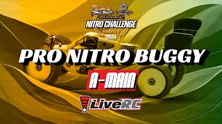 Pro Nitro Buggy AMain  2024 Dirt Nitro Challenge [upl. by Zared932]