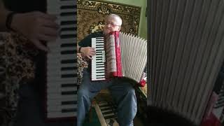 Weltmeister Diana accordion 120 Bass 41 keys 3 voice 53 registers Concertina Germany ON SALE [upl. by Jon221]