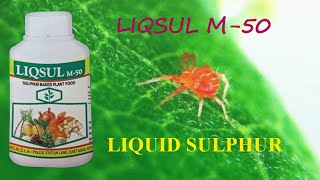 LIQSUL M50 Micronol Tamil  Linga Chemicals Liquid Sulphur  Miticide  Fungicide  PGR [upl. by Woothen287]