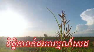 ទិដ្ឋភាពកំដរអារម្មណ៍សេដ Bearn Bunnat [upl. by Orgalim148]