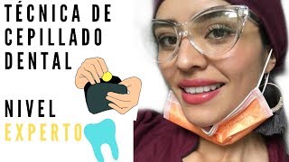 DENTISTA TE ENSEÑA LA TÉCNICA DE CEPILLADO DENTAL NIVEL EXPERTOBass Modificada [upl. by Huey]