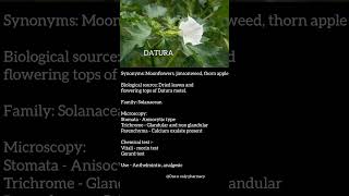 DATURA plant pharmacognosy niper gpat biology rrb [upl. by Sellihca]