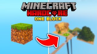 I Survived 100 Days on ONE BLOCK in Hardcore Minecraft Pt1 [upl. by Affer]