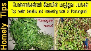 பொன்னாங்கண்ணி கீரையின் மருத்துவ பயங்கள் benefits of ponnanganni keeraiHealth benefits [upl. by Thatch]