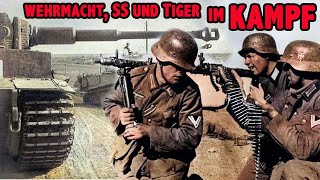 Deutsche Soldaten in der Ukraine Russland 1943 Panzer im Kampf Original NS Wochenschau 1943 [upl. by Felizio]