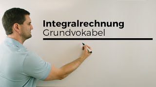 Integralrechnung Grundvokabel Hauptsatz Flächenberechnung  Mathe by Daniel Jung [upl. by Freeborn]