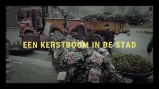 Kerstboom in de stad [upl. by Adnuhsat]