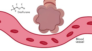 Quick review  Inhaled anesthetics solubility amp MAC [upl. by Dlareg]