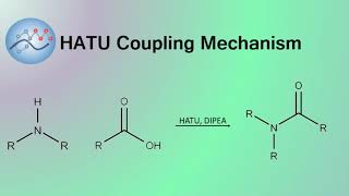 HATU DIPEA Peptide Coupling Mechanism  Organic Chemistry [upl. by Sacksen]