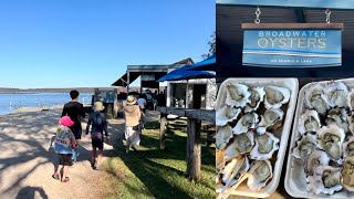 We Tried Award Winning Sydney Rock Oysters at Broadwater Oysters  Pambula Lake NSW Australia [upl. by Ailehc]