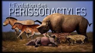 Evolution des chevaux et rhinocéros [upl. by Narbig]