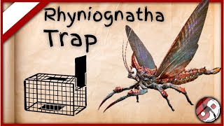 Best Rhyniognatha Traps Trapping The Sky Giga Ark [upl. by Okoyik]