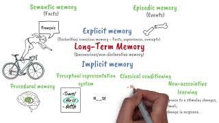 Longterm memory [upl. by Sup]