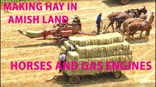 Making HAY with the AMISH in Lancaster County PACutting Raking and Baling in AMISH LAND [upl. by Bolme]