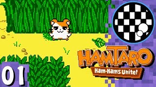 Hamtaro Ham Hams Unite  PART 1 [upl. by Epoh]