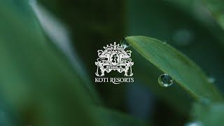 Escape to Koti Resort  Luxury in the Lap of Nature [upl. by Nnairb827]