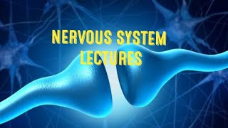 Pain Supression System Analgesia System Neurophysiology [upl. by An375]