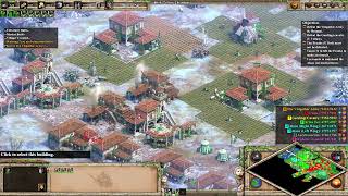 AoE2DE  Custom Campaign  Aegidius 5 The Battle of Aurelianorum [upl. by Dlanger]