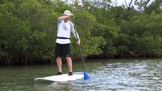 Stand Up Paddling  How To Paddle Straight [upl. by Nolra]