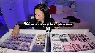 What’s in my lash drawer… 👀 [upl. by Juli]