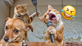 Laugh All Day With The Humor Of Cats And Dogs  Latest Funny Cats And Dogs Videos 2024 [upl. by Crescentia697]