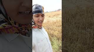 Intlo okka rupaye lekunna song agriculture vevasayam farming farmer [upl. by Tabitha]