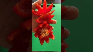 Red Bell pepper Flower Carving Garnish supersalad cuttingskills vegetablecarving shorts [upl. by Motch]