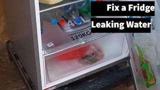 How to Fix a Leaky Fridge  Fridge Leaking Water  How to Fix a Leaking Refrigerator  Learning Life [upl. by Sinnej787]