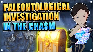 Paleontological Investigation in The Chasm ALL 5 Strange Rock Locations Genshin Impact World Quest [upl. by Roderich909]